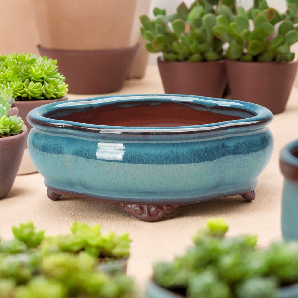 Echeveria Succulent - Vaso de flores suculentas de cerâmica